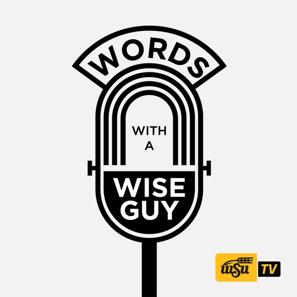 words-with-a-wise-guy-wsutv